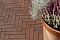 Тротуарная клинкерная брусчатка Penter Baltic Klinker Pavers Nuance, 250*60*65 мм