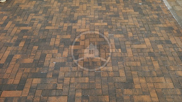 , steingot, trotuarnaya_plitka, tigr, landshaftnyy_dizayn