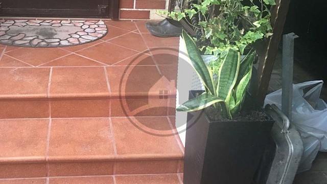 , stroeher, klinkernye_stupeni, oranzhevyy, vkhodnaya_gruppa