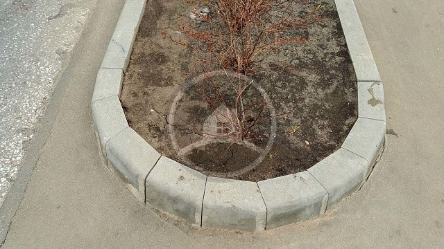 , steinrus, bordyury, seryy, landshaftnyy_dizayn