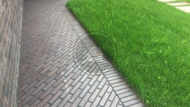 , bordovyy, landshaftnyy_dizayn