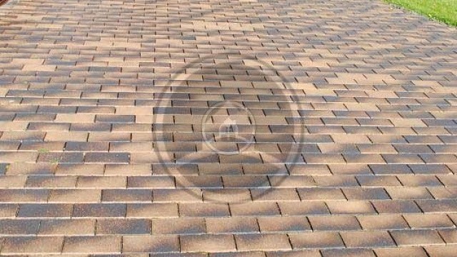 , trotuarnaya_plitka, sero_bezhevyy, landshaftnyy_dizayn