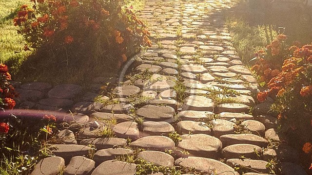 , braer, trotuarnaya_plitka, seryy, landshaftnyy_dizayn