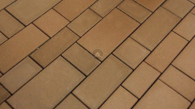 , steinrus, trotuarnaya_plitka, bezhevyy, landshaftnyy_dizayn