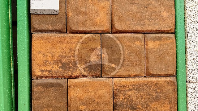 , steinrus, materialy_dlya_moshcheniya, trotuarnaya_plitka, pesochnyy, landshaftnyy_dizayn