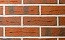 Кирпич облицовочный Terca Red flame F2F редуцированный с песком, 250*85*65 мм