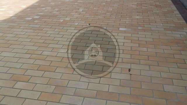 , stroeher, trotuarnaya_plitka, zheltyy, landshaftnyy_dizayn