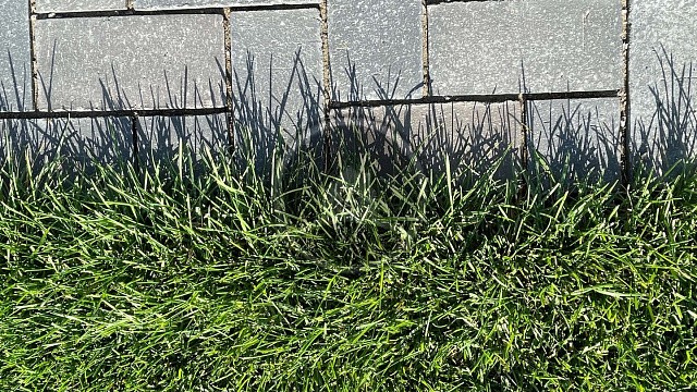 , muhr, klinkernaya_bruschatka, chernyy, ryazan, landshaftnyy_dizayn