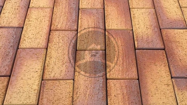 , trotuarnaya_plitka, zhyelto_korichnevyy, landshaftnyy_dizayn