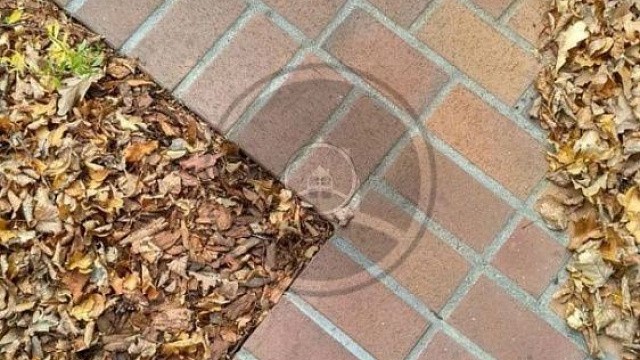 , trotuarnaya_plitka, krasnyy_fleshing, landshaftnyy_dizayn