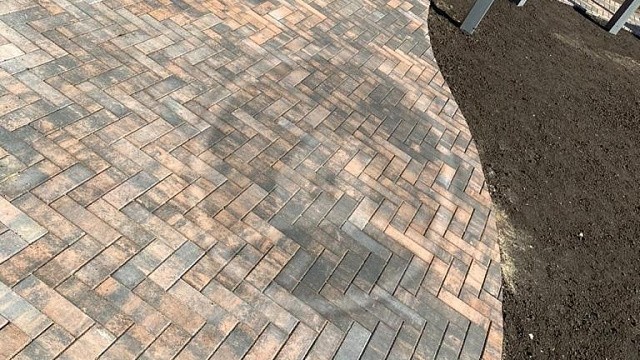 , steingot, trotuarnaya_plitka, tigr, landshaftnyy_dizayn