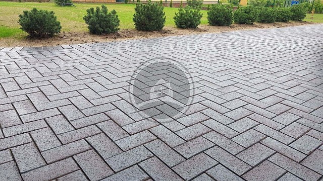 , trotuarnaya_plitka, bordovyy, landshaftnyy_dizayn