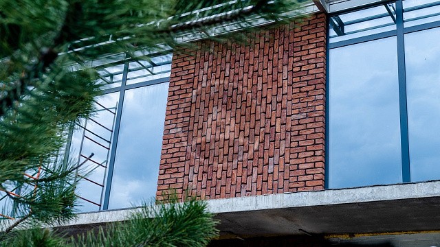 , baksteen, oblitsovochnyy_kirpich, vkhodnaya_gruppa, dom, zabor