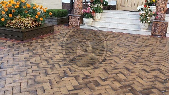 , trotuarnaya_plitka, sero_bezhevyy, landshaftnyy_dizayn