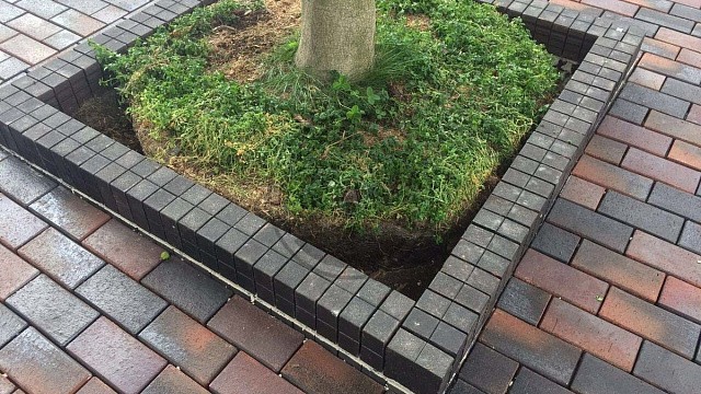 , trotuarnaya_plitka, bordovyy, landshaftnyy_dizayn