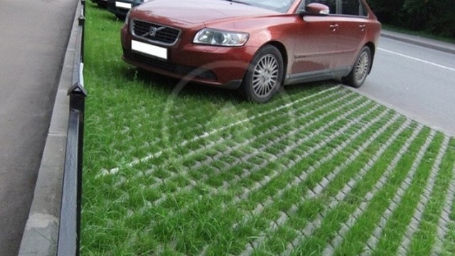 , landshaftnyy_dizayn