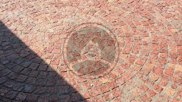 , trotuarnaya_plitka, oranzhevyy, landshaftnyy_dizayn