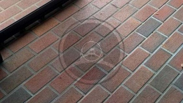 , trotuarnaya_plitka, landshaftnyy_dizayn